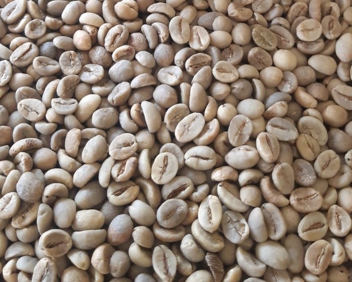Robusta Grade 1 - 70131